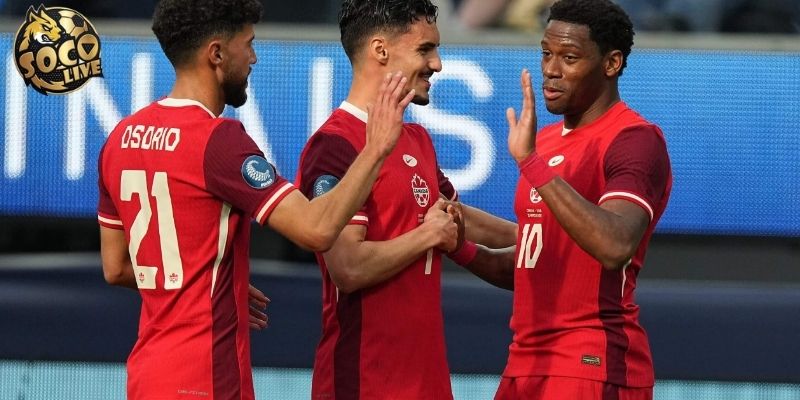 Đánh giá phong độ Canada vs Bosnia Đánh giá phong độ Canada vs Bosnia